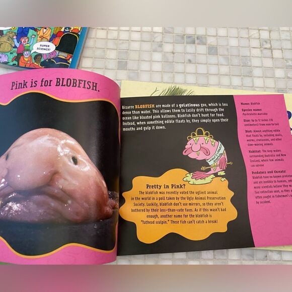 Kids Educational - Animals, Birds, Plants, Facts - Book Collection - Picture 7 of 8